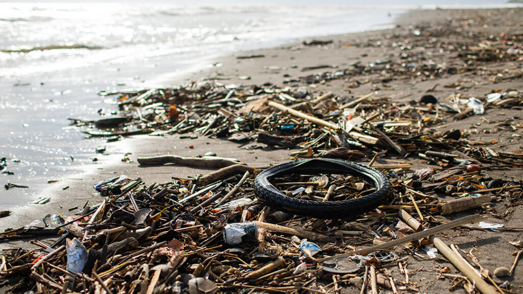 sustainable changes