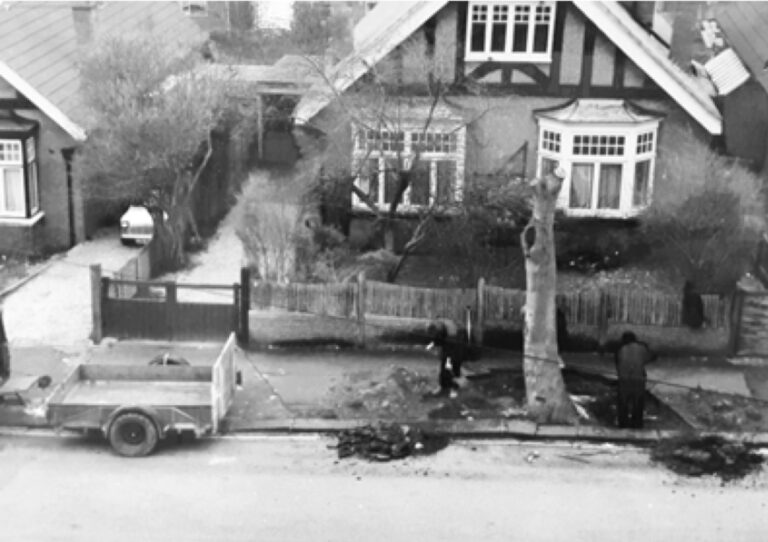 1975: View from our founders family home