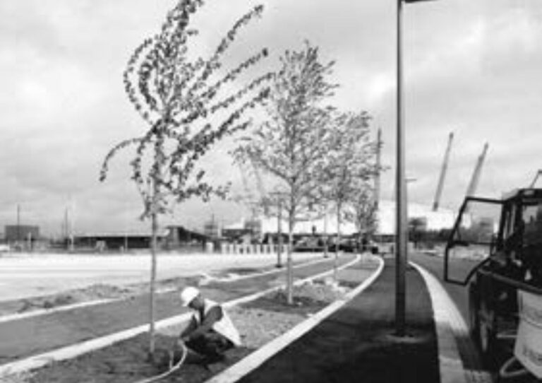 1999: Trees at the Millennium Dome London