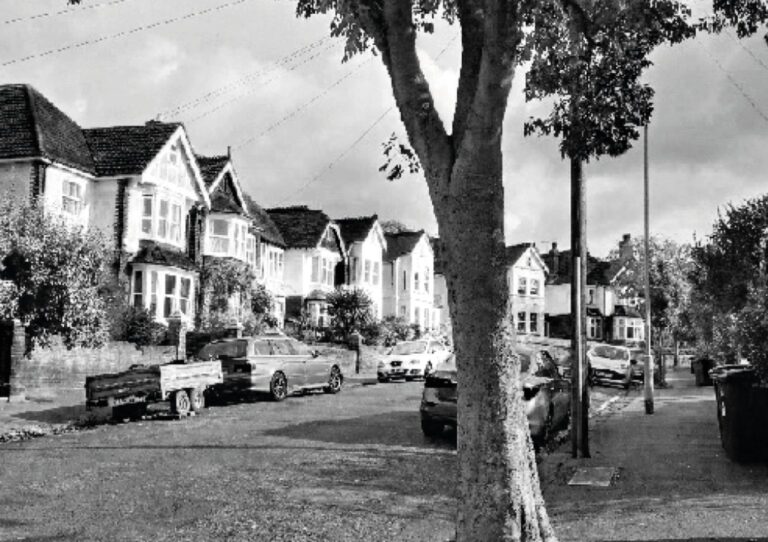 2000: The idea for the first tree root soil cell was born
